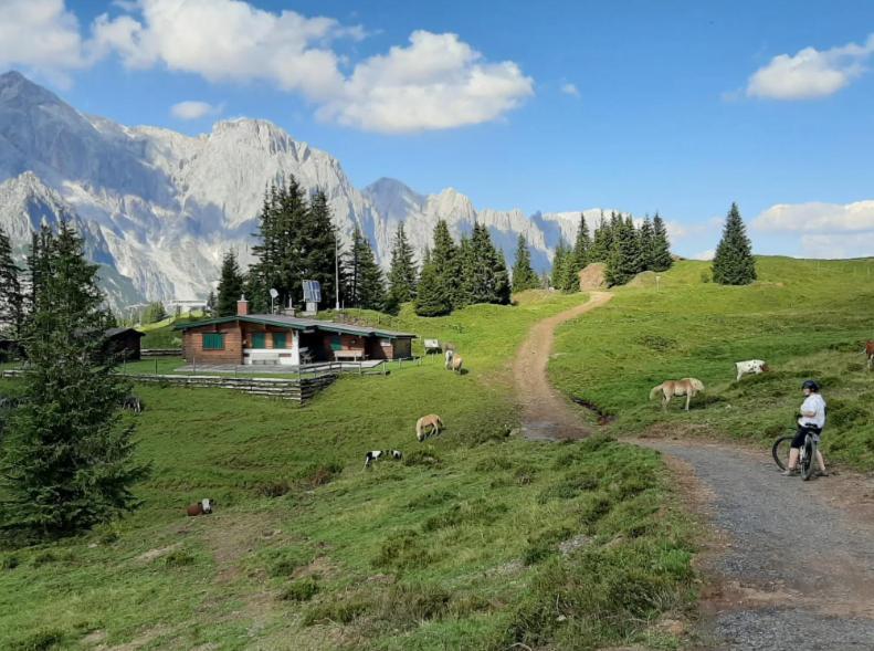 Hochkoenig Ferien Apartman Mühlbach am Hochkönig Kültér fotó